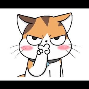 Meet your Posher, Ting